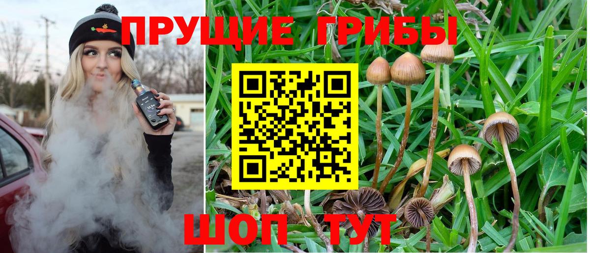 Галлюциногенные грибы Psilocybe  Вход с VPN  Псилоцибиновые грибы прущие грибы  Шелехов 