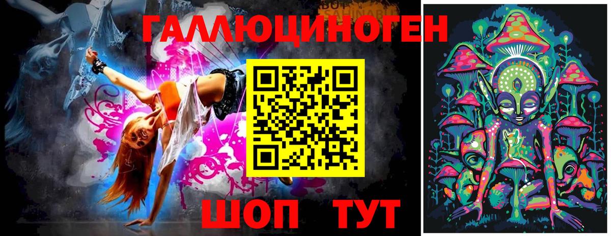 Псилоцибиновые грибы Psilocybe Шелехов